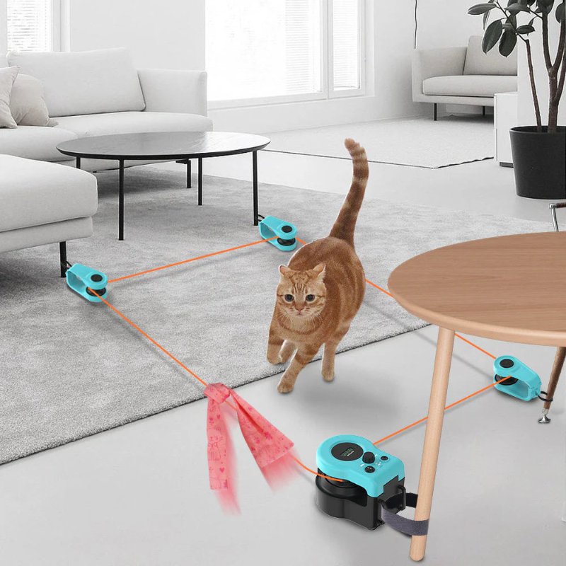 Toy Zipline For Cats