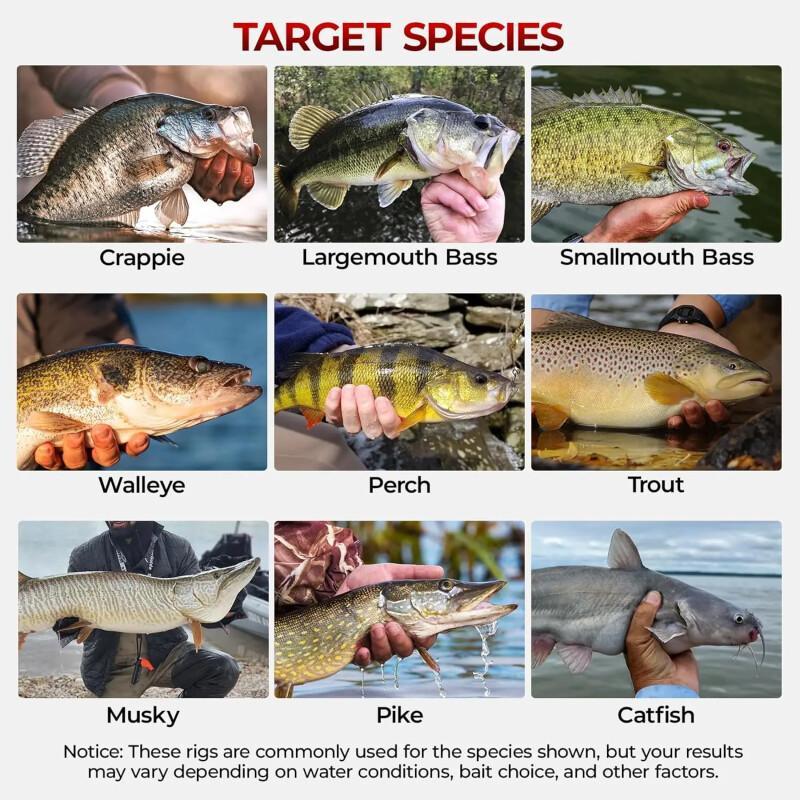 MadBite Fishing Kit – Complete Tackle Set With Hooks, Sinkers & Bobbers