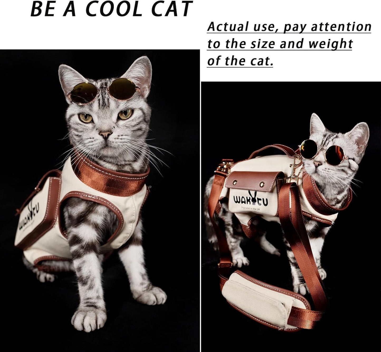 All-in-One Dog&Cat Adventure Harness Kit