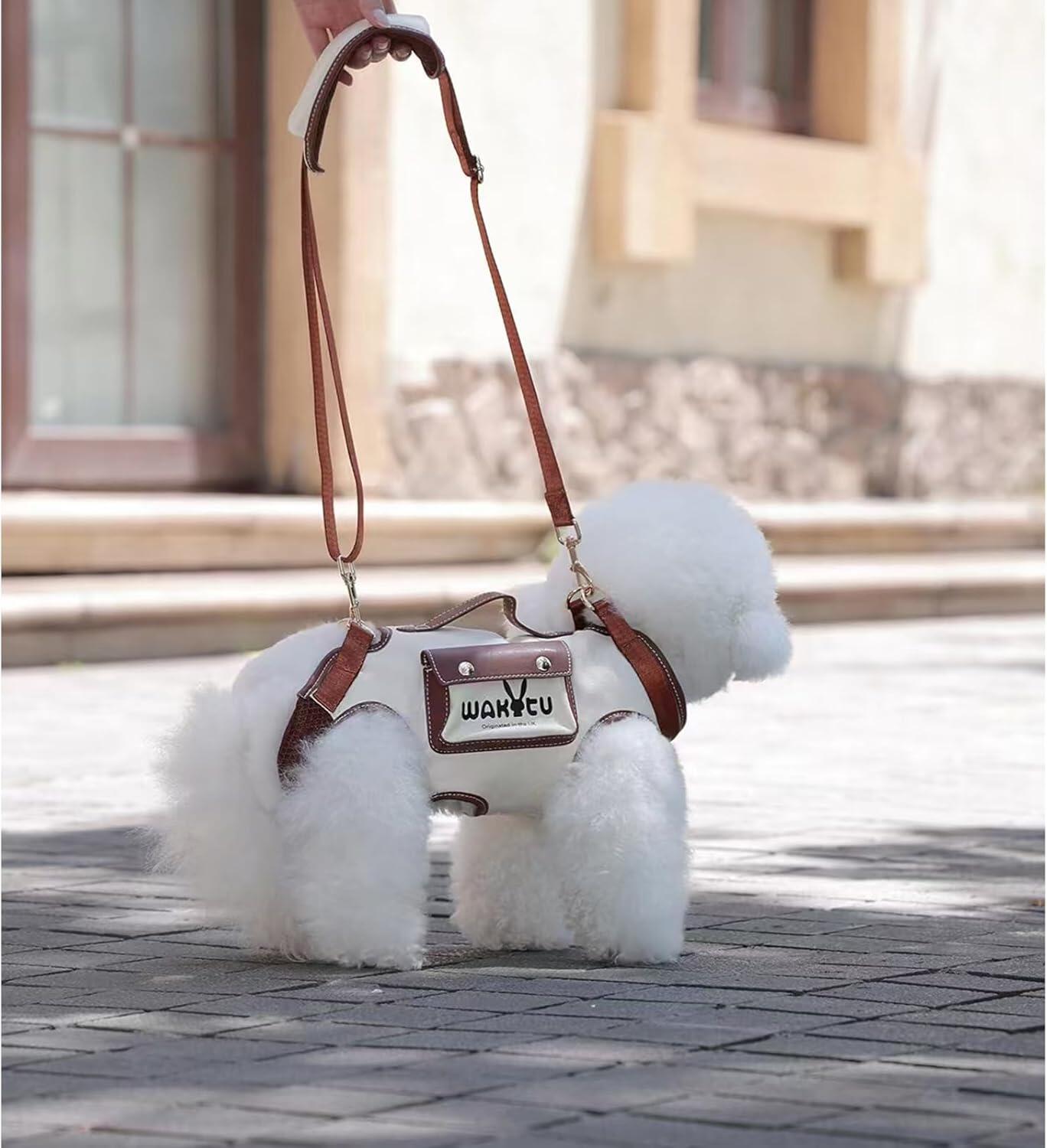 All-in-One Dog&Cat Adventure Harness Kit