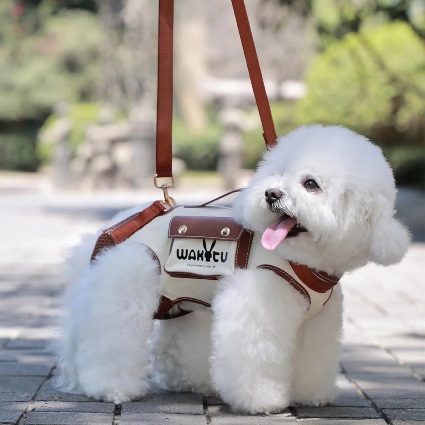 All-in-One Dog&Cat Adventure Harness Kit