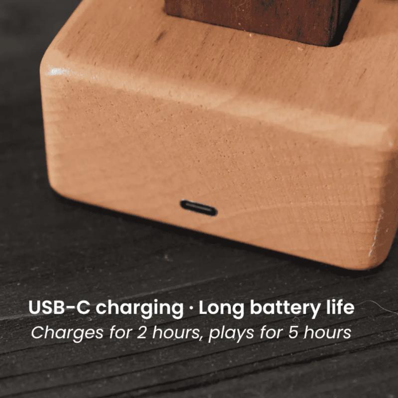 Handcrafted Wooden Manta Ray Automaton